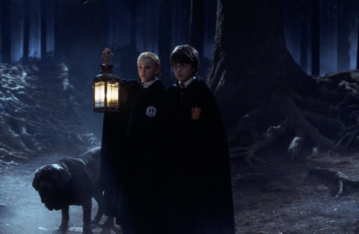 harry potter