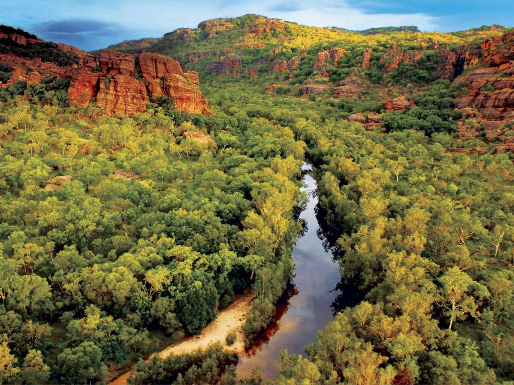 Kakadu