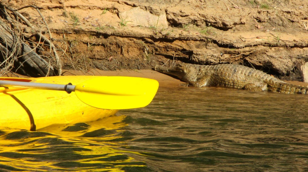 Kayak