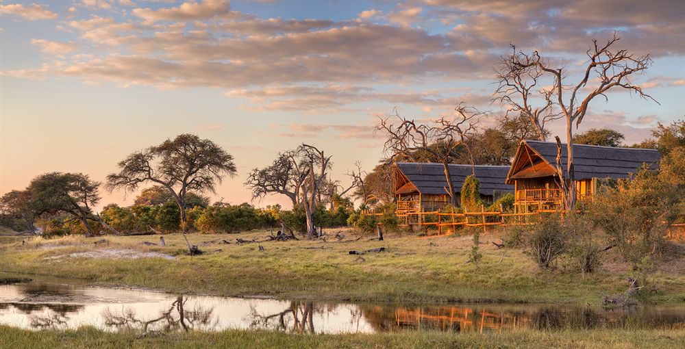 Maun
