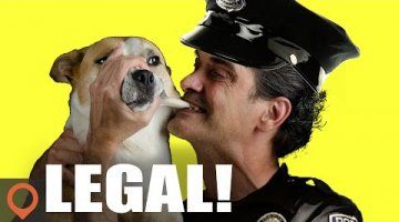 13 Weirdest Laws of Ohio!