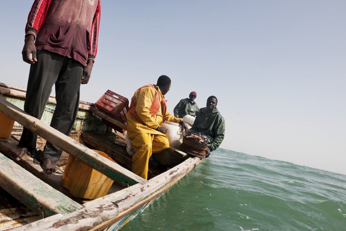 pirogue