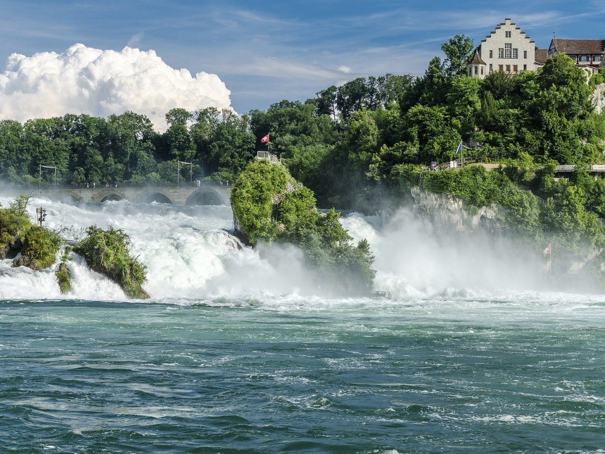 Rhine