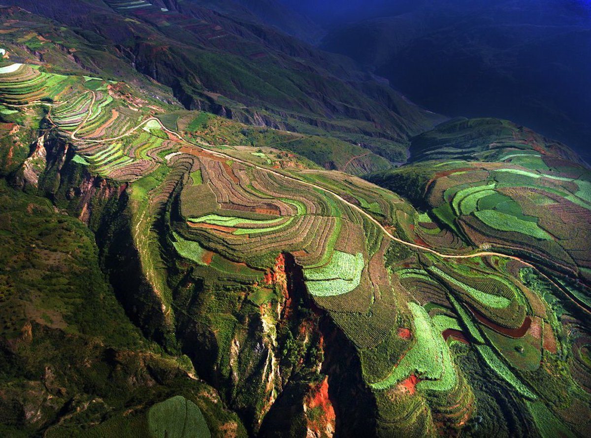 rice terrace