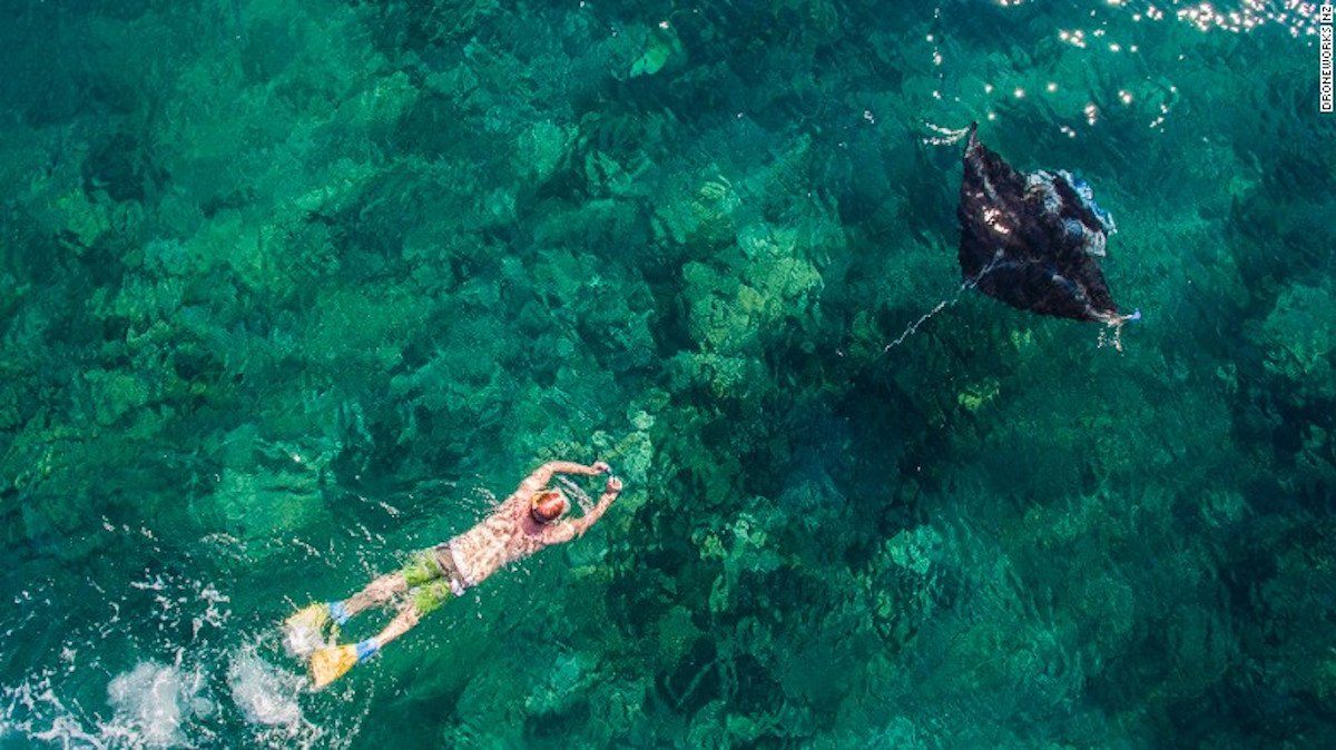 snorkeler