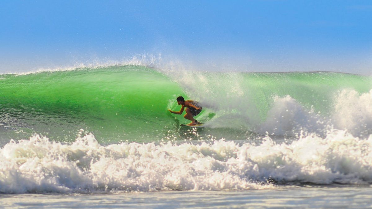 Tamarindo