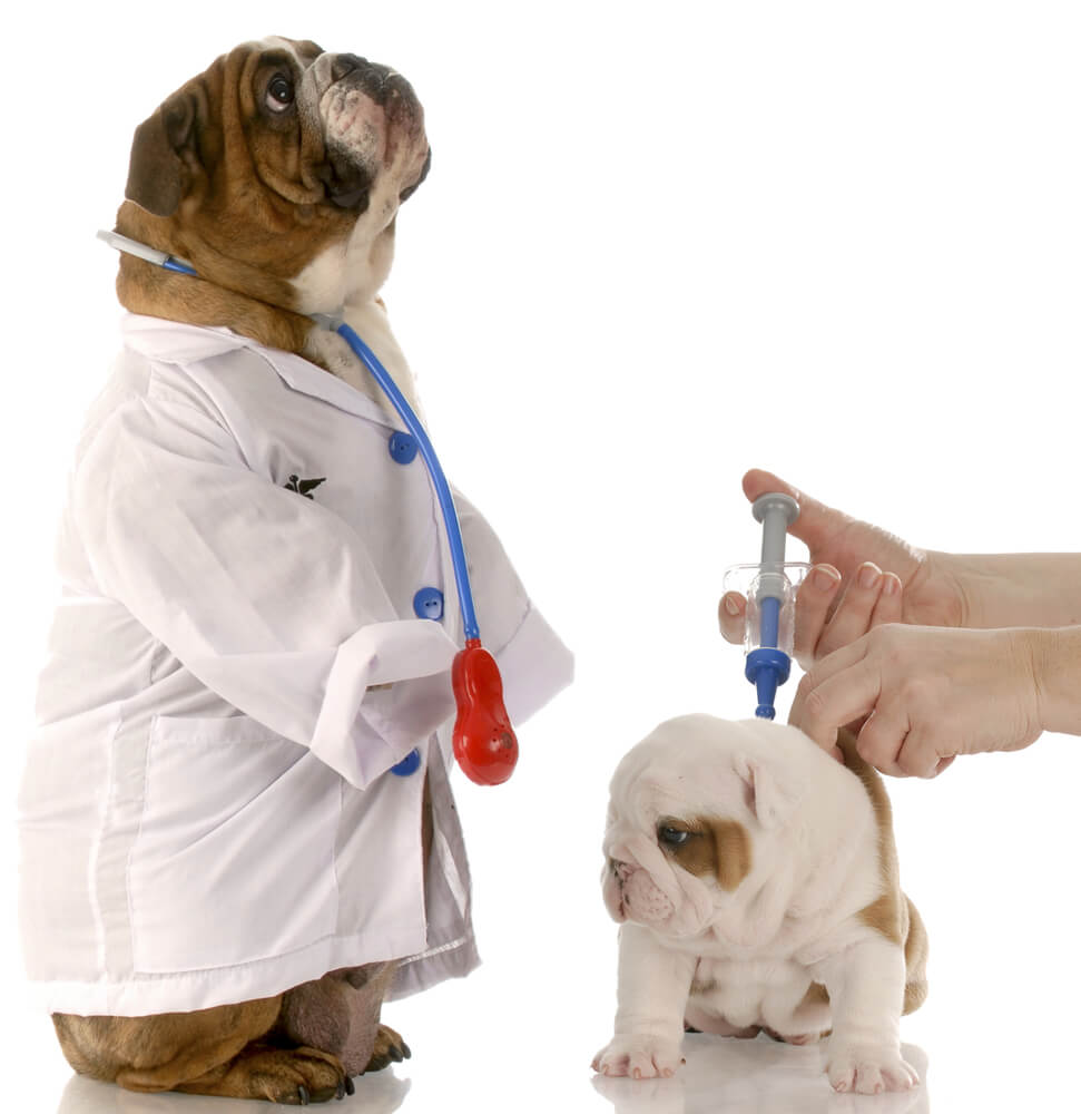vaccine
