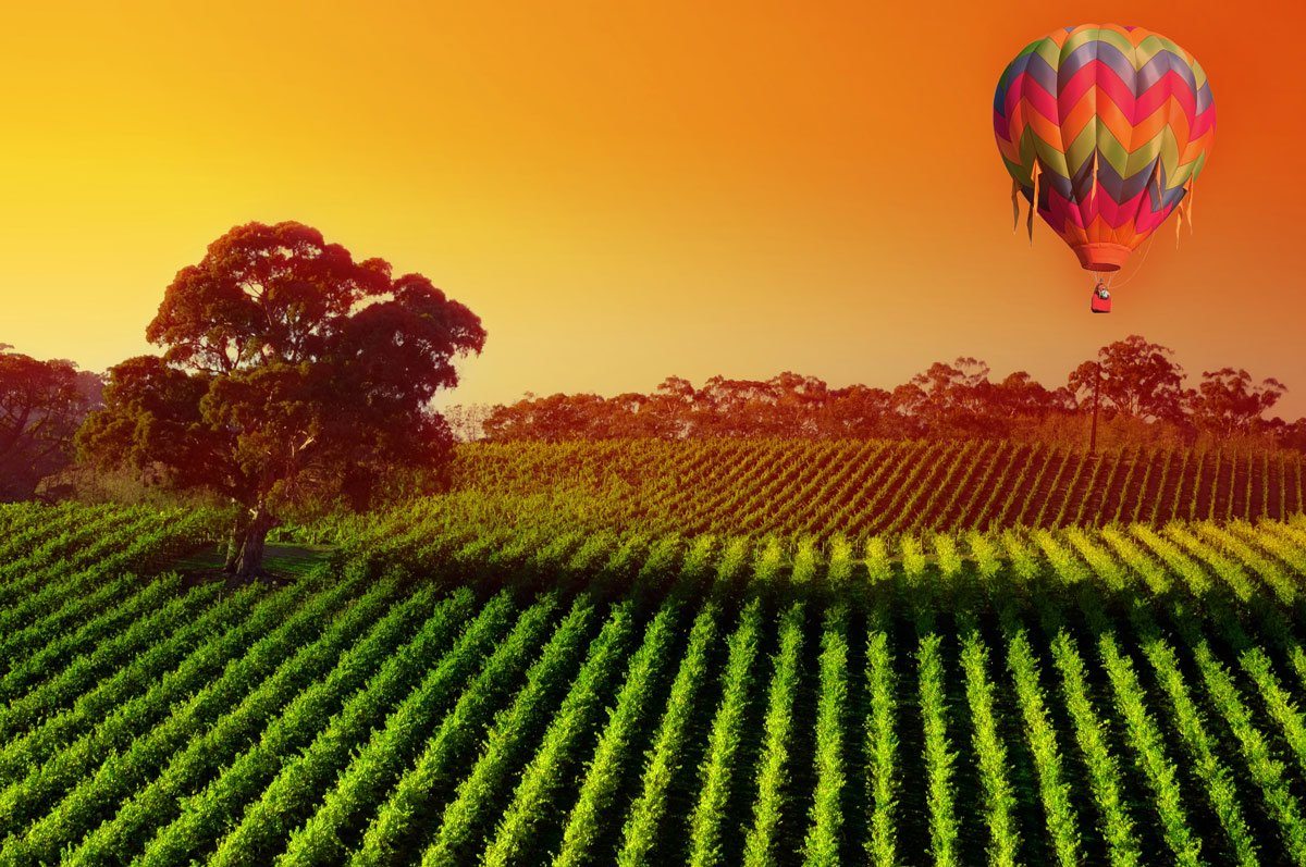 wine country