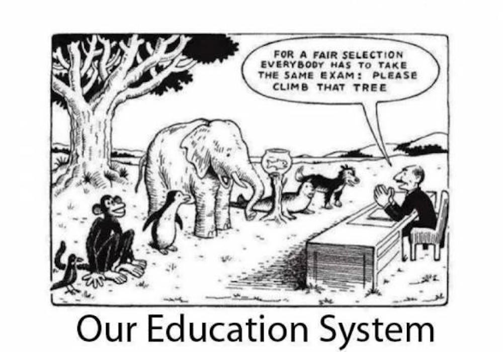 usa education