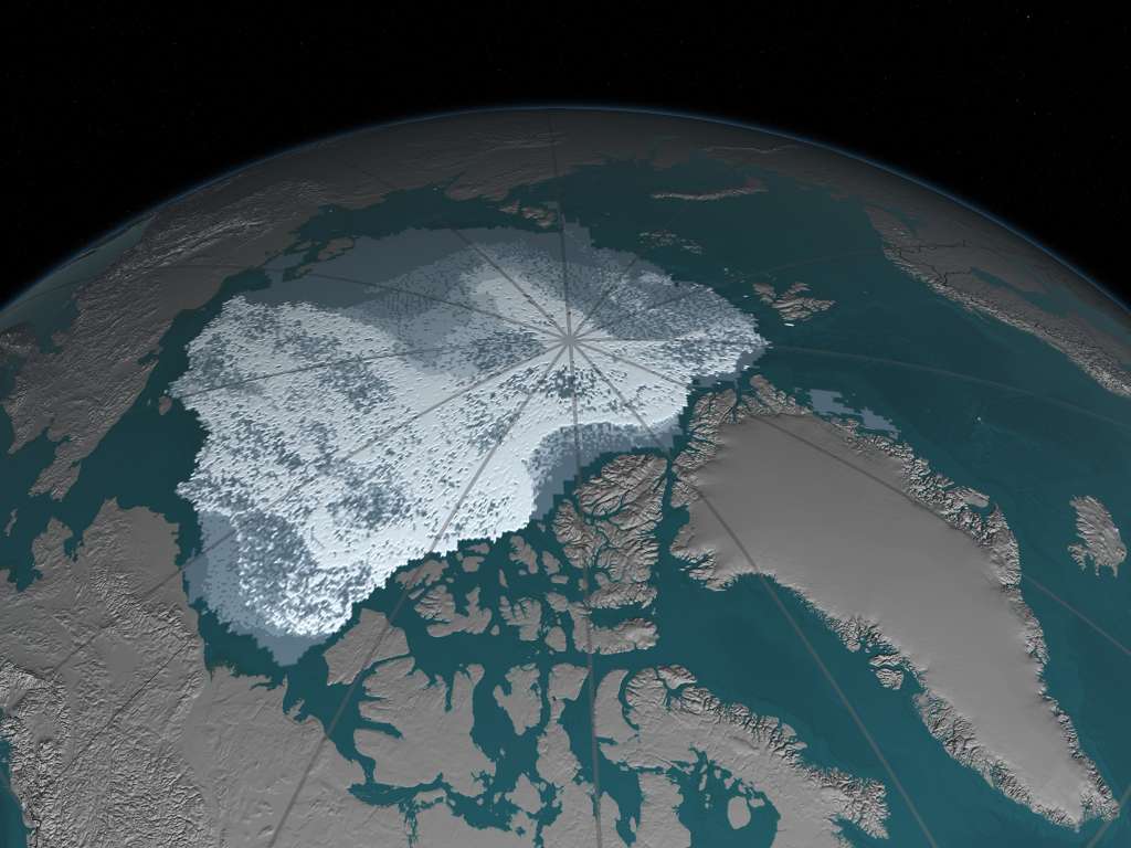 Arctic