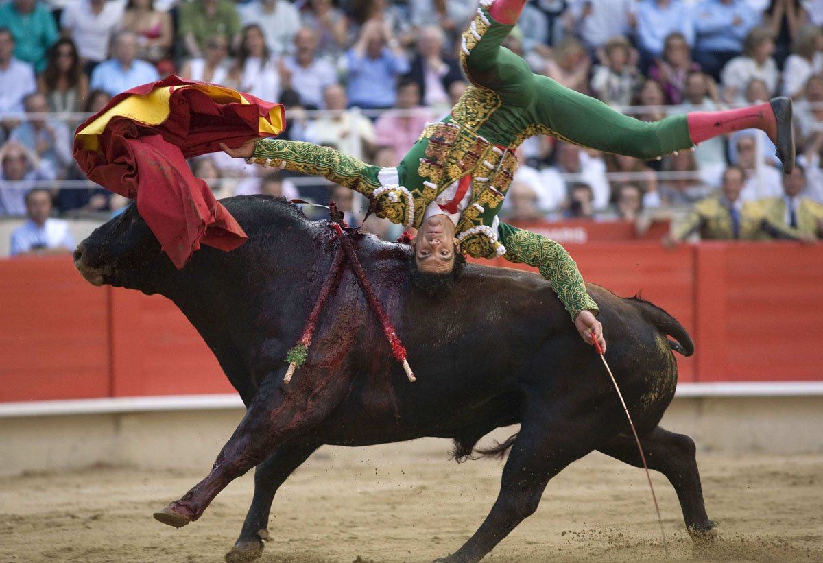 Bullfight