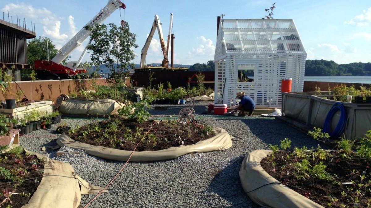 food forest floating
