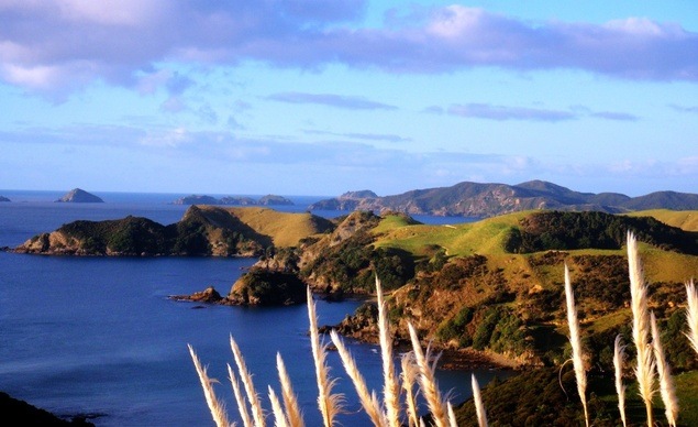 Matauri