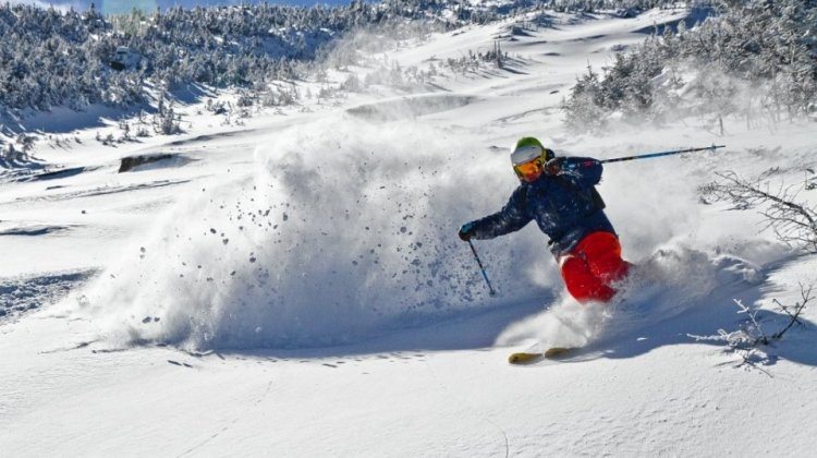 new york ski
