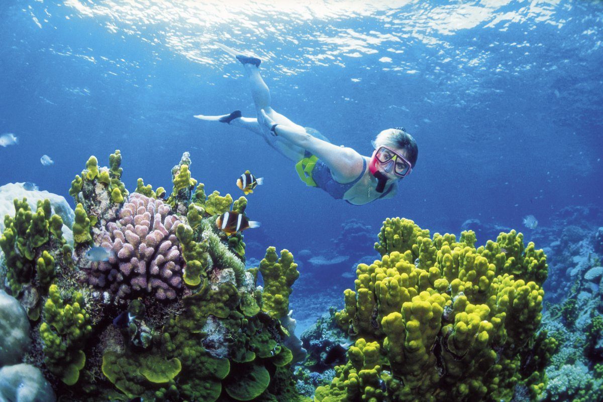Reef