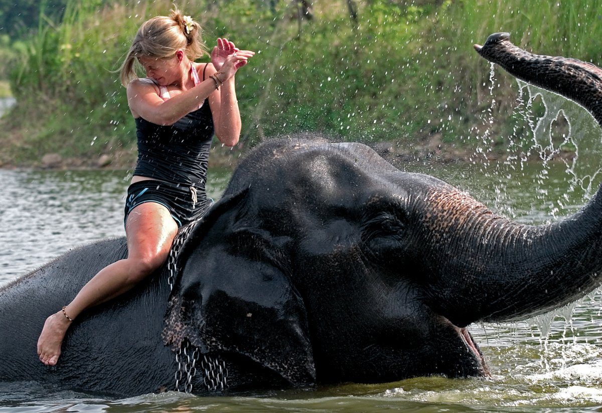 riding elephant thailand 1