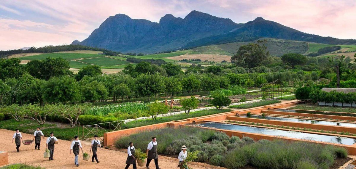 Cape Town South Africa wine tour