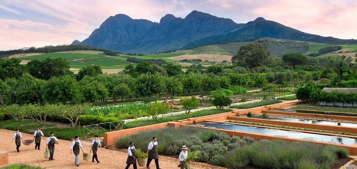 Cape Town South Africa wine tour