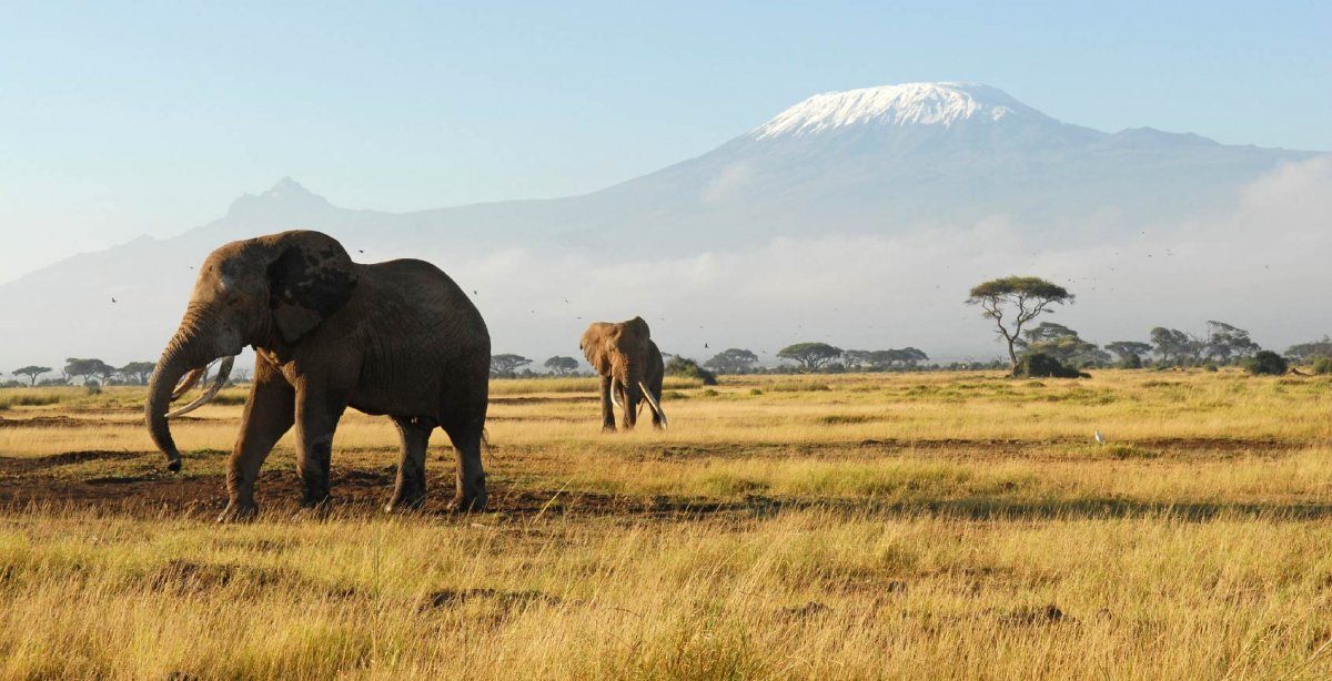 Africa