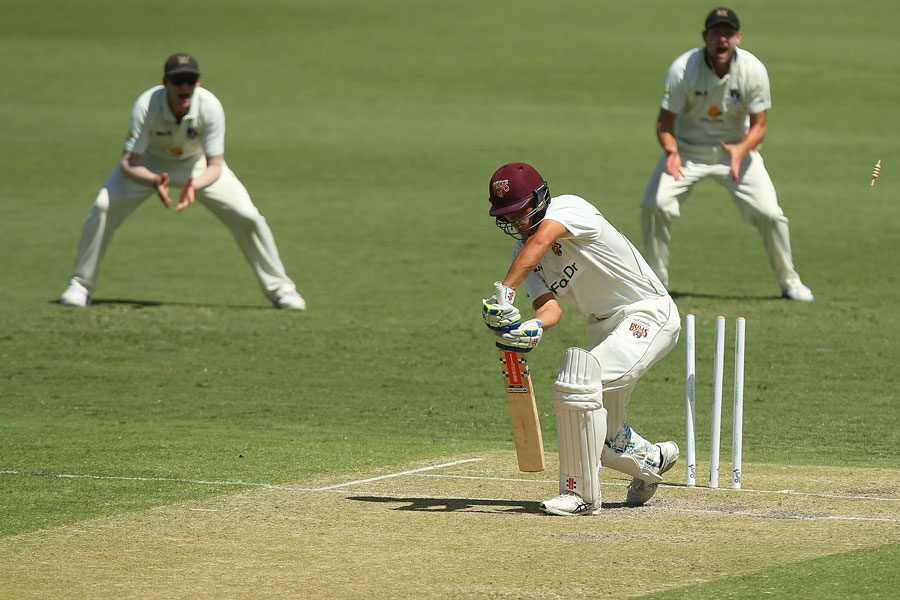 Cricket