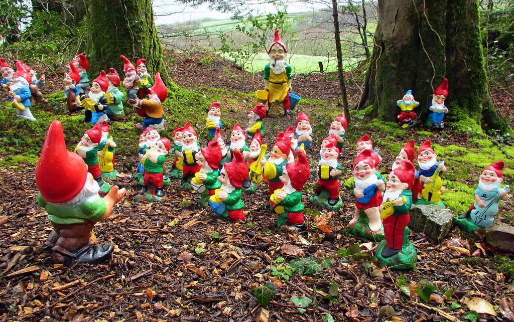 Gnomes