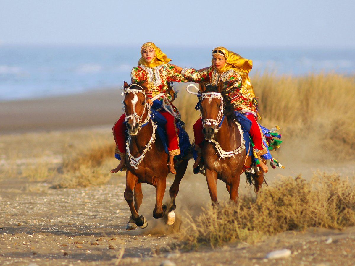 Horses