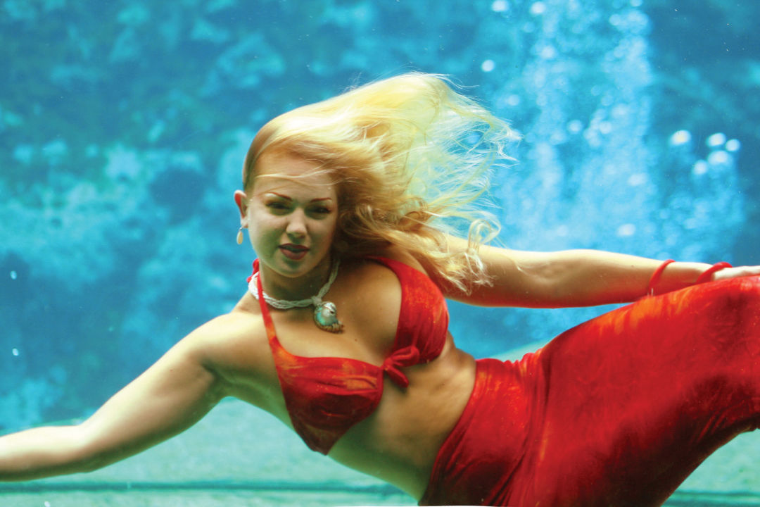 Mermaid
