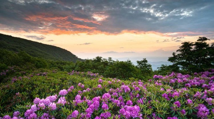 national parks