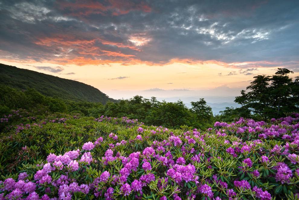 national parks