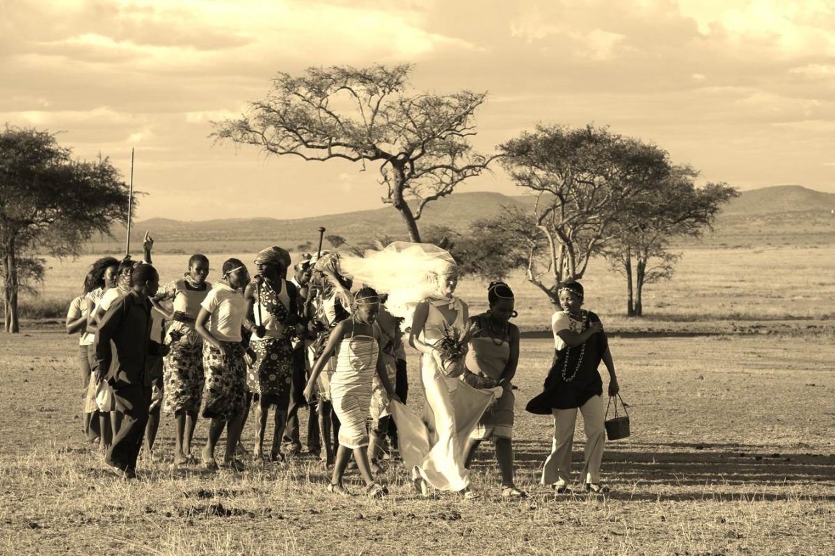 safari