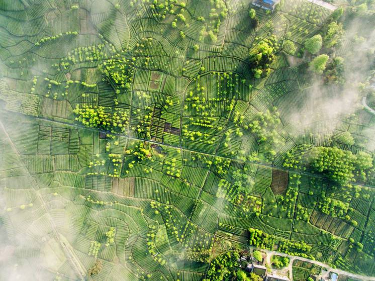 Sichuan
