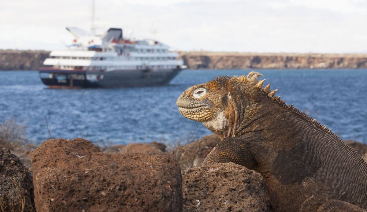 silversea galapagos