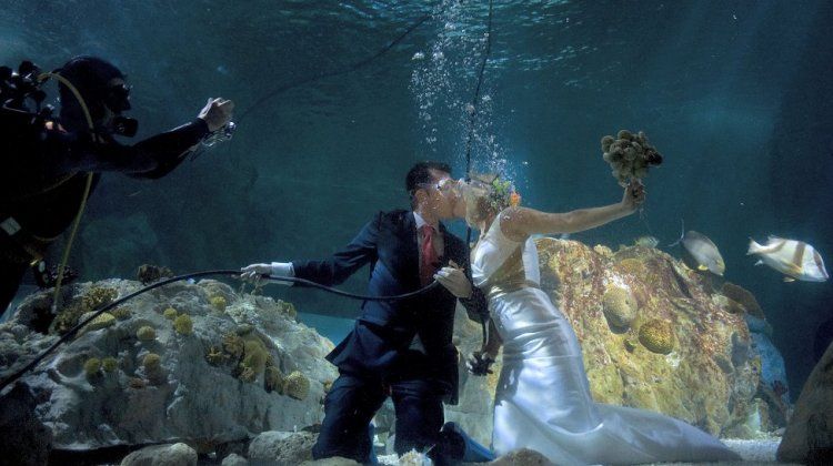 underwater wedding