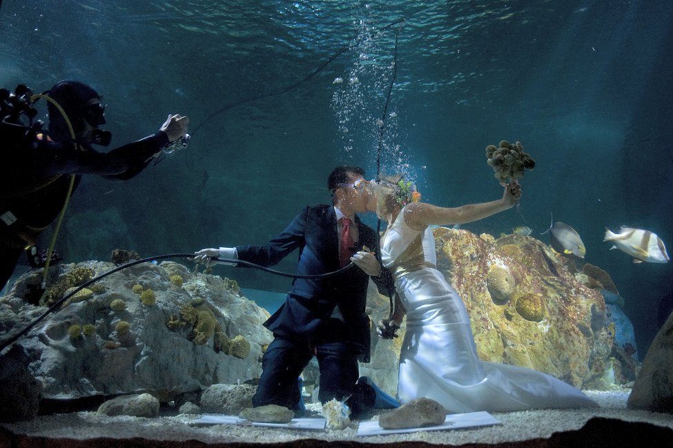underwater wedding