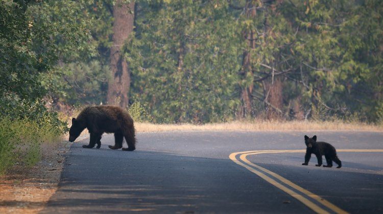 yosemite