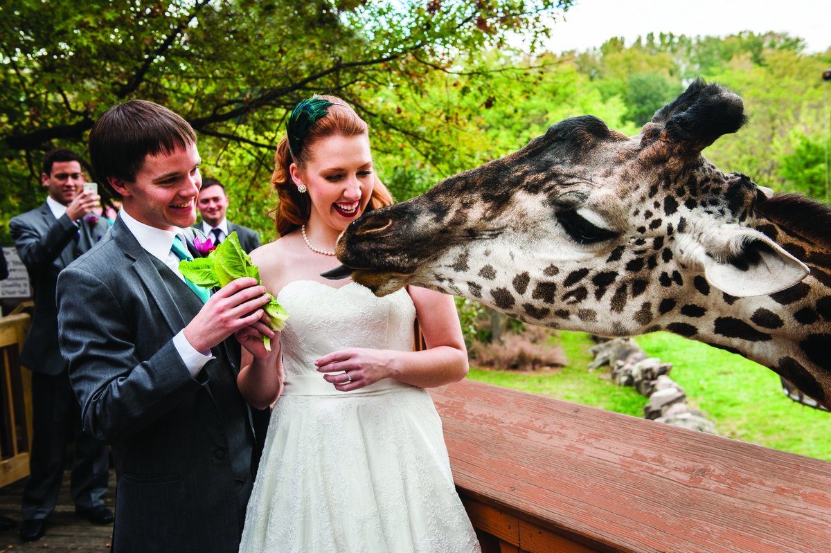 zoo