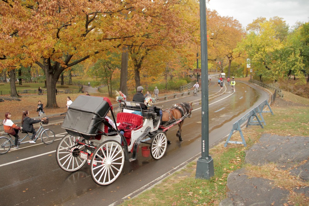 Carriage