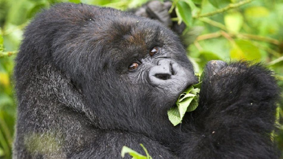 Eating