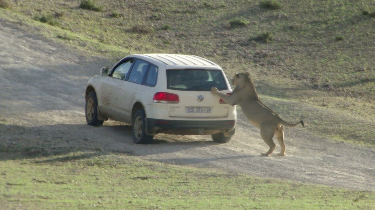 6 Things NOT To Do in Botswana
