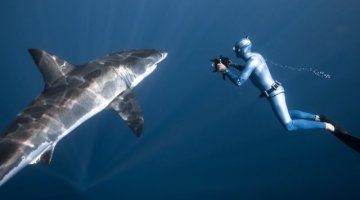 Diving WITHOUT Oxygen! - This is "Freediving"