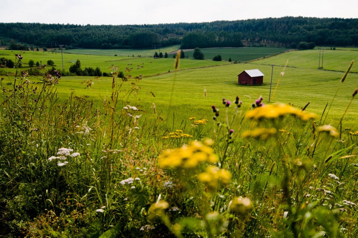 sweden