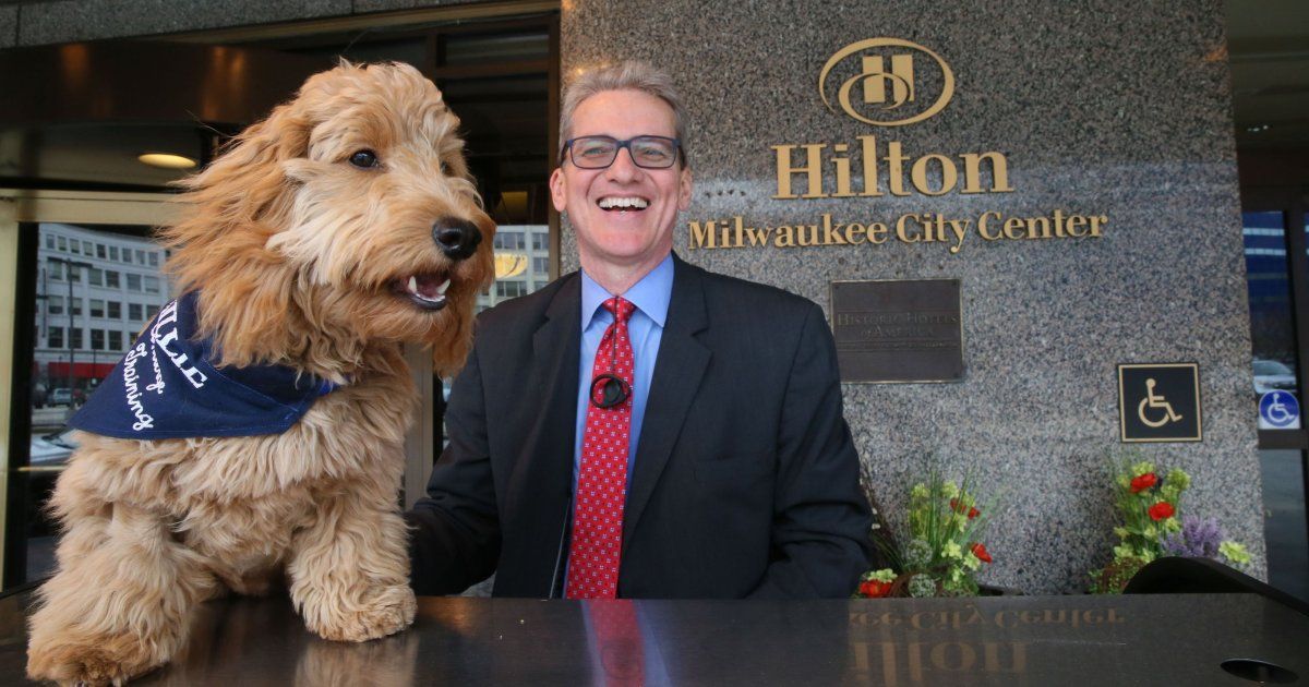 Wisconsin hilton dog