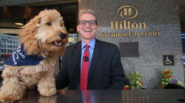 Wisconsin hilton dog
