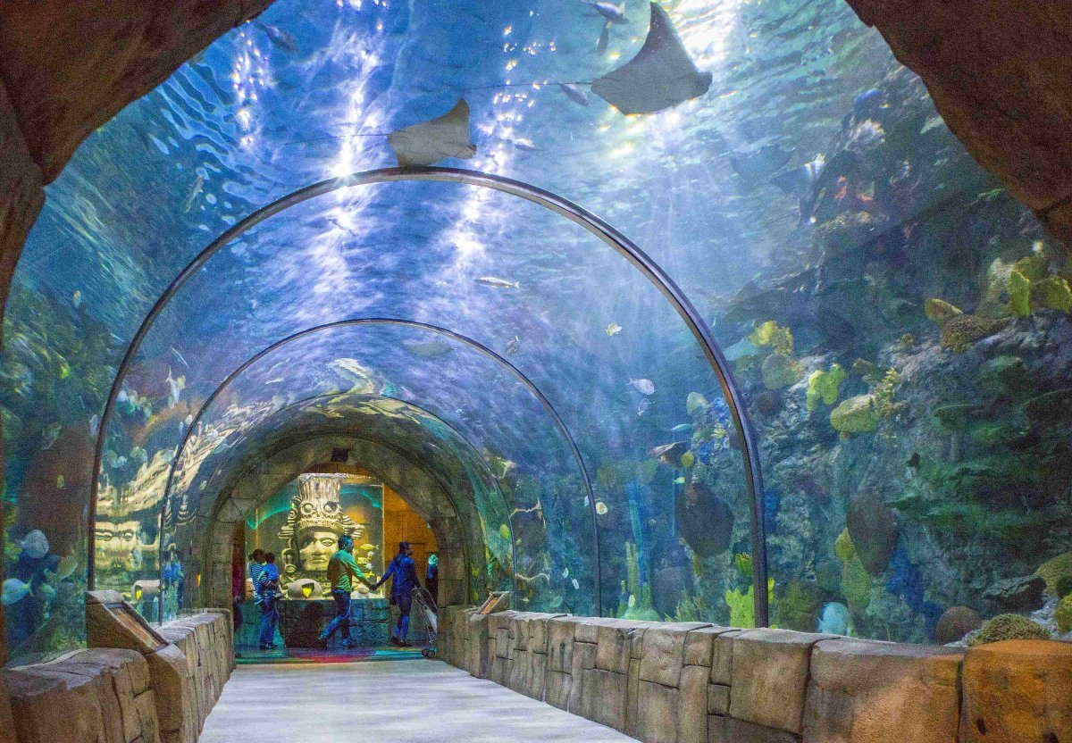 Aquarium