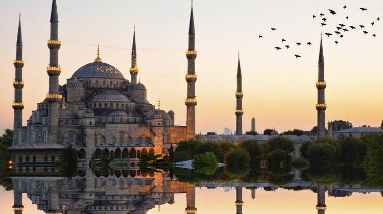 turkey