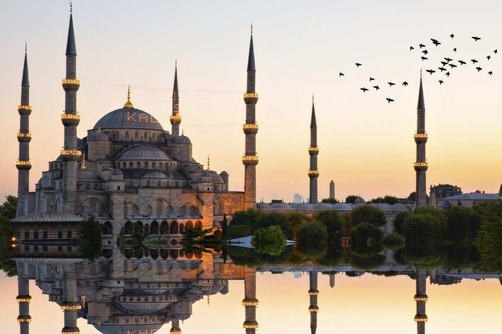 turkey
