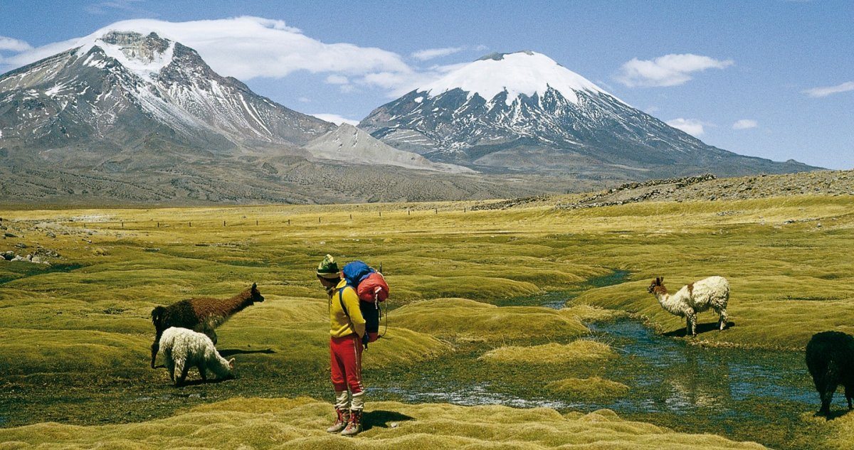 Lauca National Park