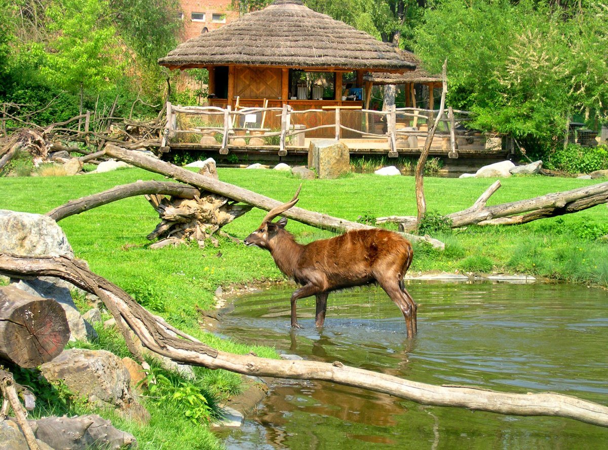 Prague Zoo