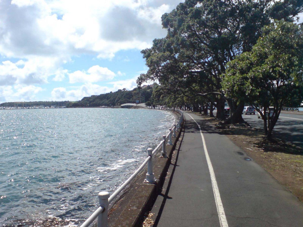 Tamaki Drive