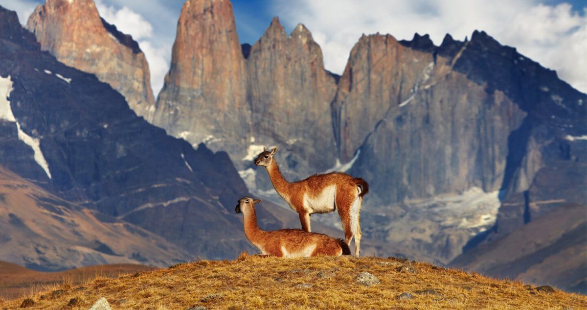 Torres Del Paine National Park